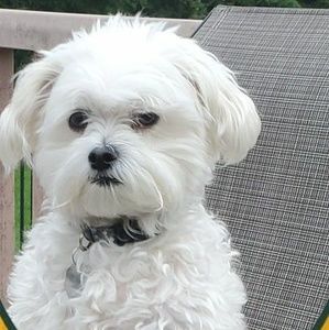 Meet your Posher, Sue